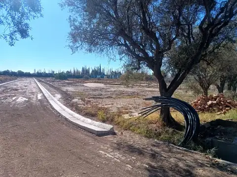 Terreno en Venta 34  mts Fondo