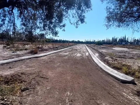 Terreno en Venta en Lujan De Cuyo, USD 65.000