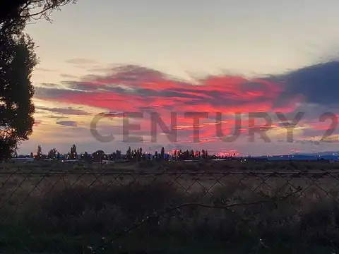 Terreno en Venta en San Rafael, Mendoza