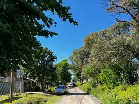 Dr Bernardo Houssay 400