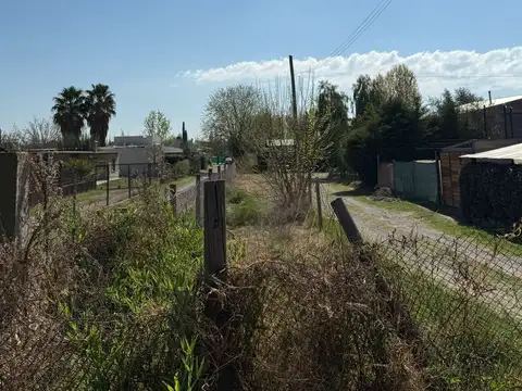 Calle Pincolini