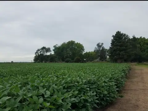 Campo en Venta con Alambrado