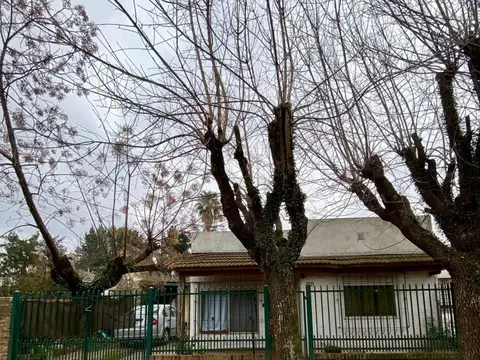 Álvarez Jonte al 800