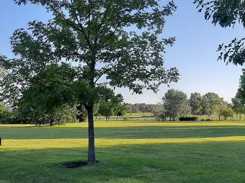Rio Hondo al 500