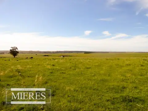 Campo - Venta - Uruguay, Maldonado