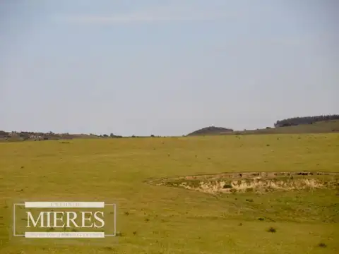 Campo - Venta - Uruguay, Maldonado