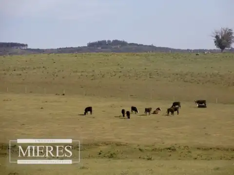 Campo - Venta - Uruguay, Maldonado