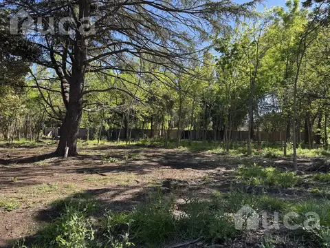 TERRENO Arbolado Excelente Ubicacion | ESCRITURA INMEDIATA | Los Naranjos, Ing. Maschwitz