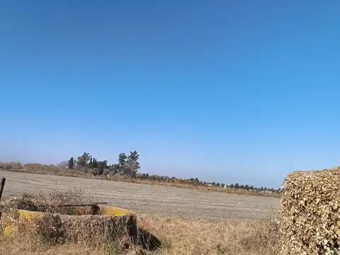 9 de Julio 100