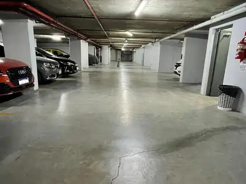 Dorrego