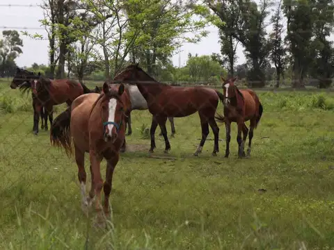 Terreno en Venta de 1000,0 m2