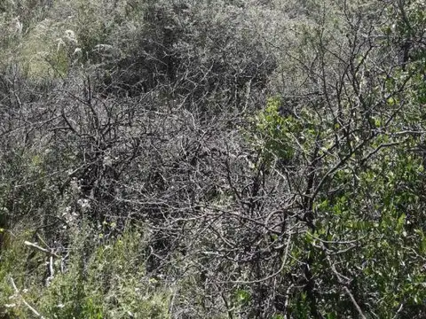 Capilla del Monte 5100