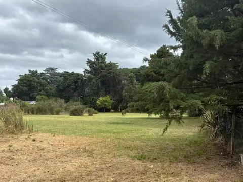 El Sosiego -los Pinos