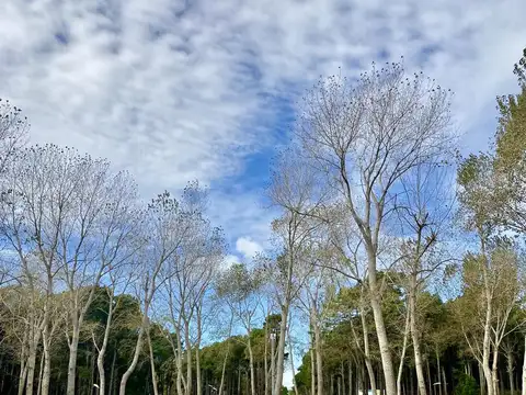 Terreno en Venta en Pinamar, USD 76.500
