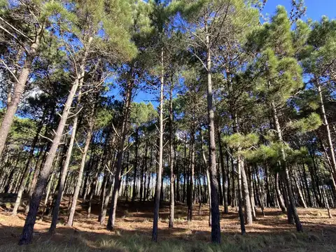Lote de terreno en Villa Robles