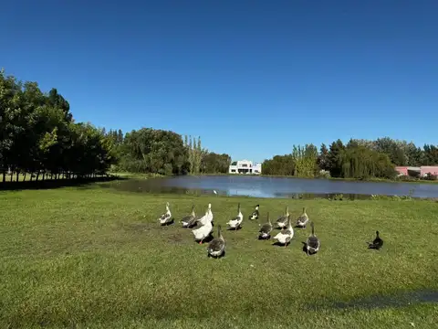 Casa en Venta en Chacras de Uribelarrea, USD 335.500