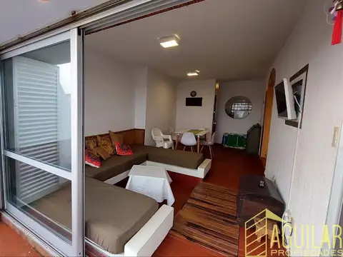 Paseo 100