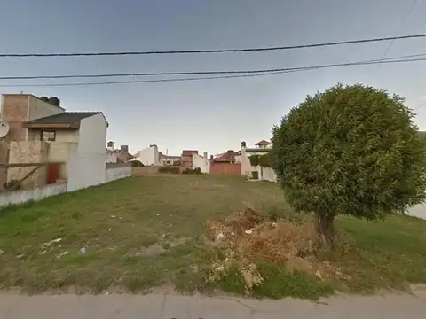 Viña del Mar 100