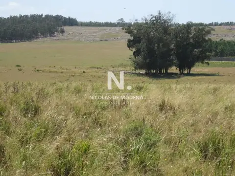 Lote en venta en Cerro Eguzquiza, Ideal para barrio privado e inversionistas.