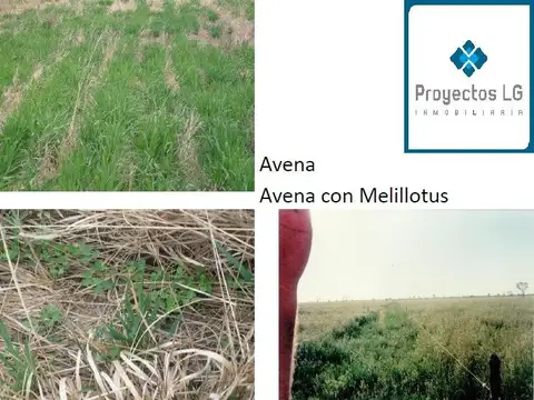 Quinta en Venta 2024 años