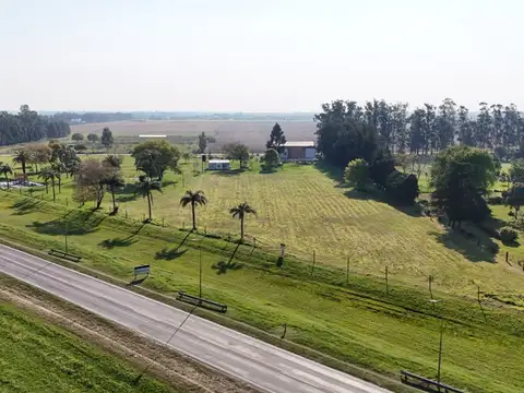 Ruta Nacional 11 km 794