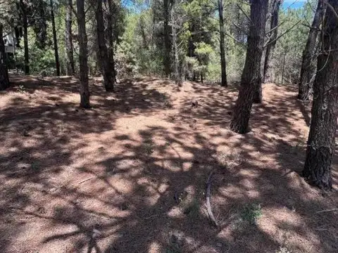 Terreno en venta - 459Mts2 - Monte Hermoso