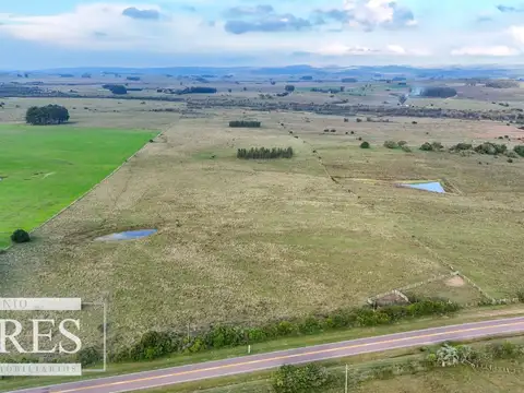 Campo en venta de 68 ha sobre ruta 39