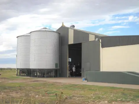 Único campo vitivinícola  y orgánico