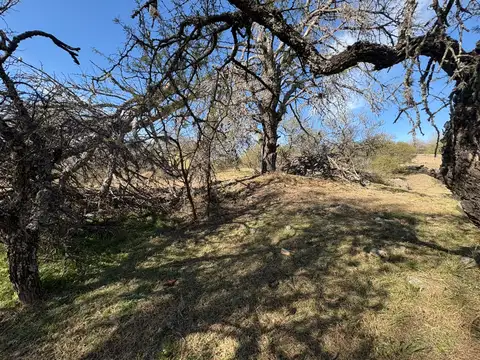 Terreno en Venta de 2135,0 m2