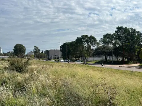 Terreno sobre Av. Palacios e/ Tello y Toscano Sur