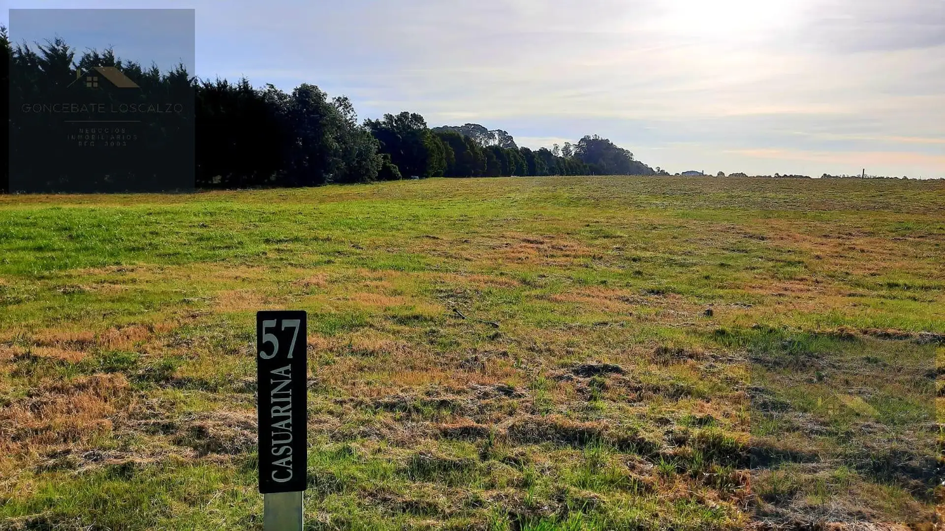 Terreno a la venta en Casonas del Haras