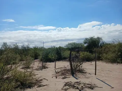 Ruta Nacional 142