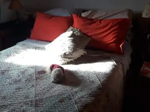 Depto Tipo Casa 5 ambientes con 2 baños