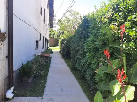 Paseo 128 100