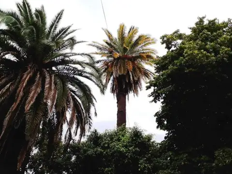Gral. Las Heras