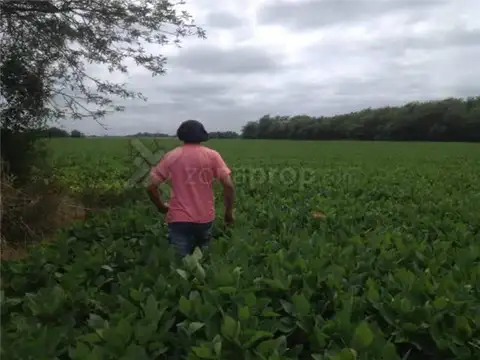 Sobre Ruta 6 . al 1000