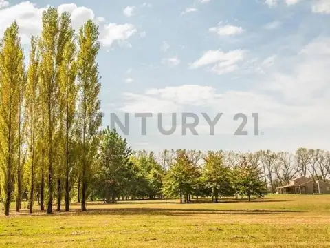 Terreno en Venta en Ezeiza, USD 31.000