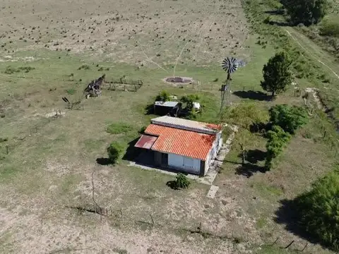 424 hectáreas en San Genaro