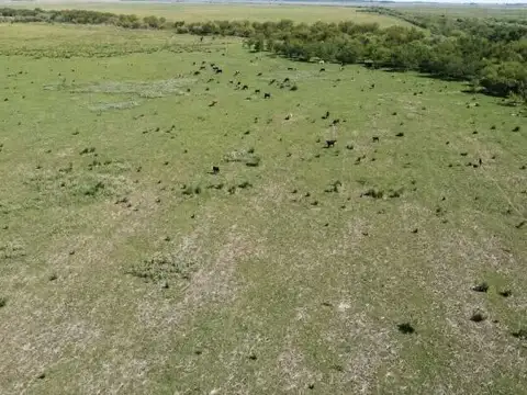 Campo a la venta, 424 Has en San Genaro.