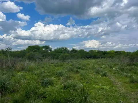 109 hectareas en Sauce de Luna