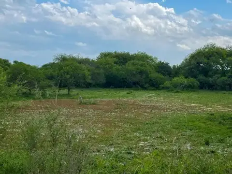109 Hectáreas En Sauce De Luna