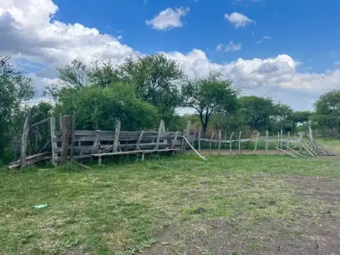 109 hectareas en Sauce de Luna