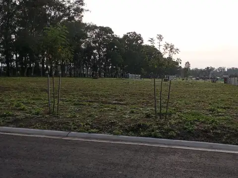 Avenida Doctor Honorio Pueyrredón 6000