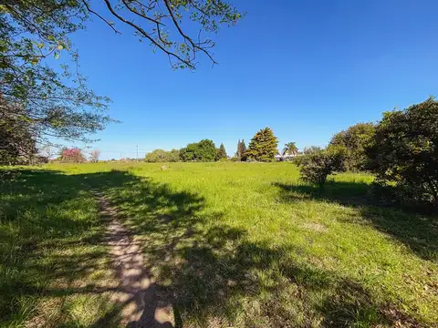 Lote 600 m2 en Nuevo Torino