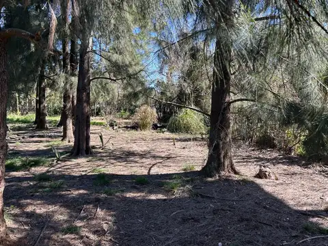 Casa en Alquiler de 2 dormitorios