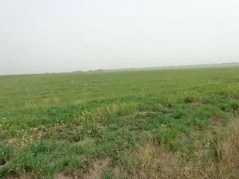 Casa Campo  en Venta en Abramo, Hucal, La Pampa - BLA6137_LP573625_3