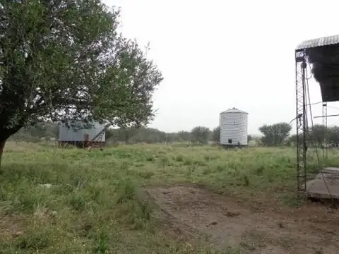 Abramo, La Pampa 100
