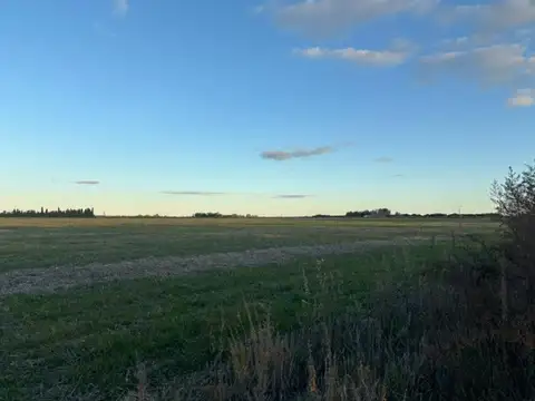 Campo en venta con acceso asfaltado y luz
