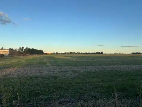 Campo en Venta Agrícola