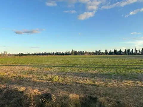 Campo en Venta de 20  ha
